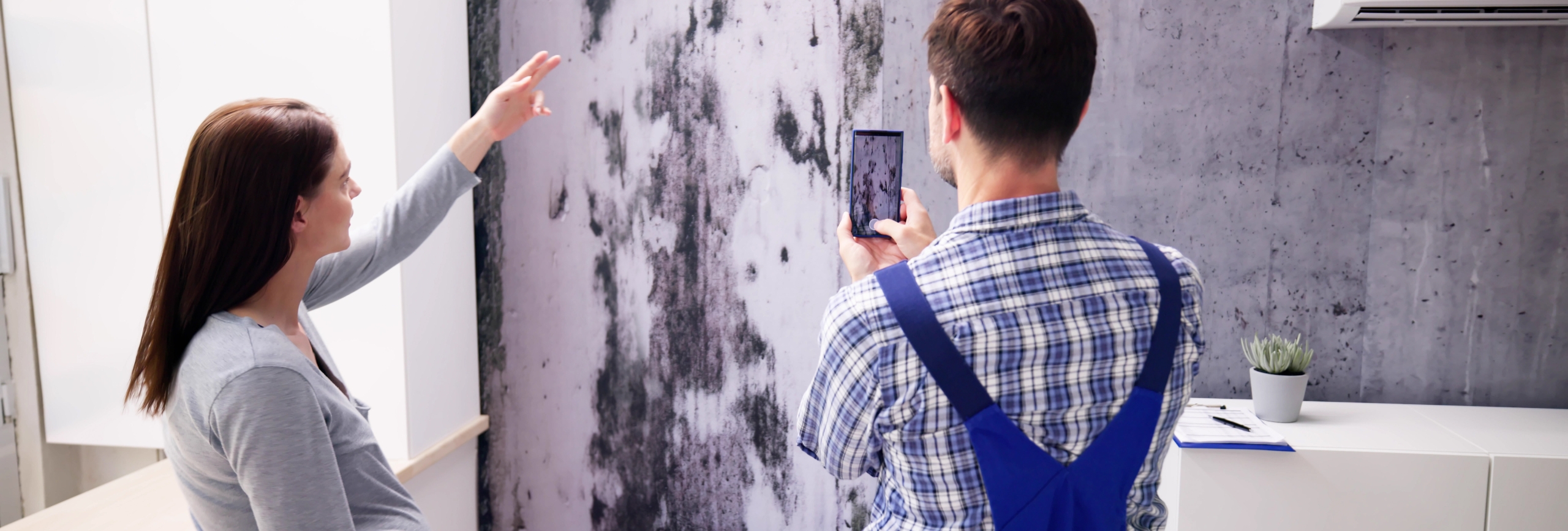 mold remediation