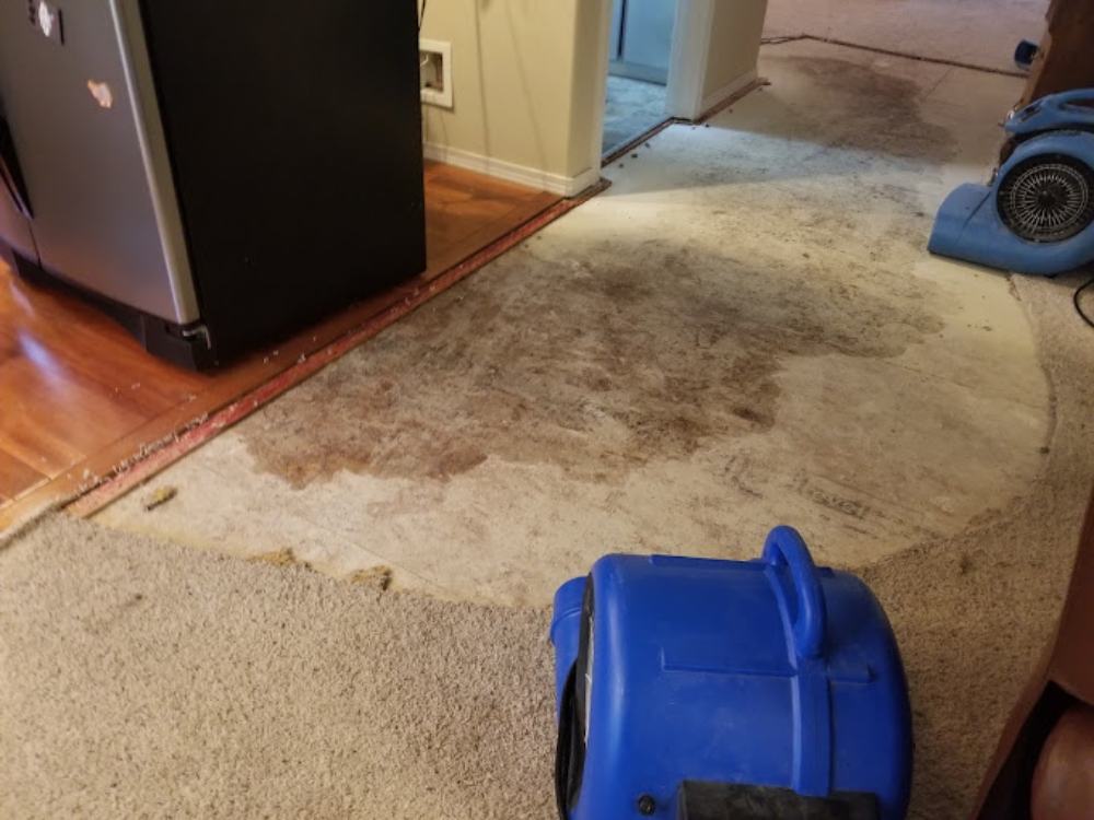hall way water damage restoration