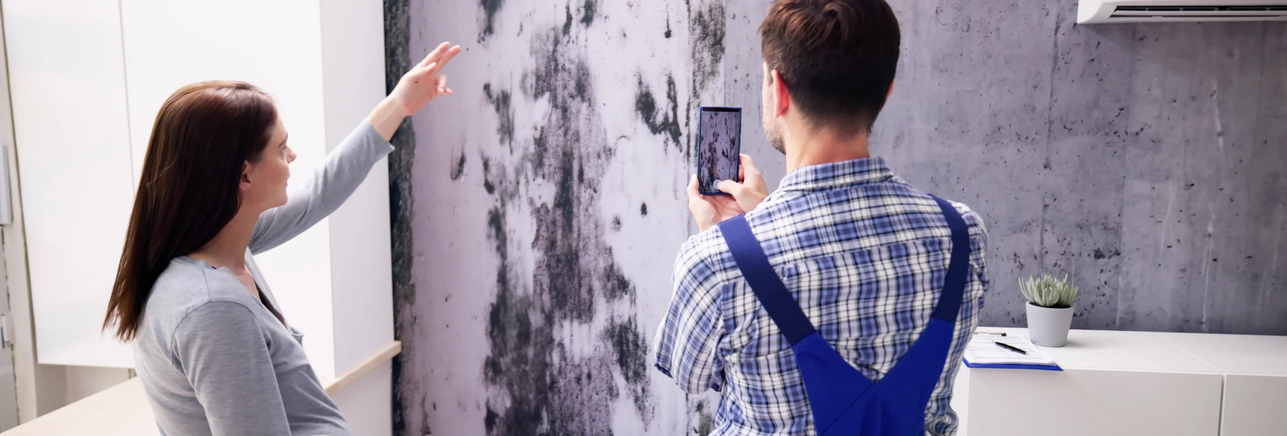 mold remediation