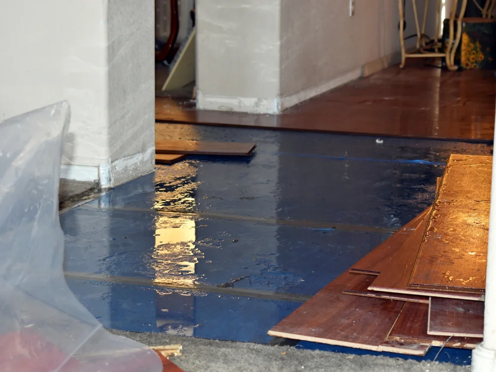 signs of water damage in walls